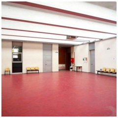 AUDITORIO-CHAPINERIA-04